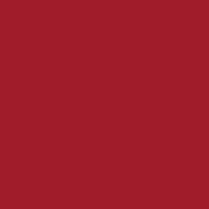 CROWN SHADES 10x10 Pop Up Canopy Tent - Patented Center Lock One Push Instant Outdoor Canopy Beach Tent with STO-N-Go Bag 8 Stakes & 4 Sand Bags，Red