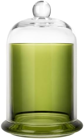 rejomiik Qtip Holder Glass Apothecary Jars by rejomiik