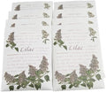 Scented Sachet for Drawers and Closets, Lot of 8 by FeelFragrance