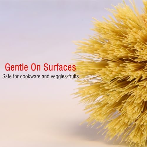 Vegetable & Dish Brush Set, Natural Sisal Bristle Kitchen Brush - Image 2