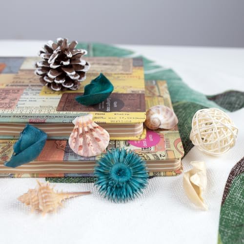 DOMESTAR Sea Shell Potpourri Bag, Ocean Breeze Scented Dried Flower - Image 4