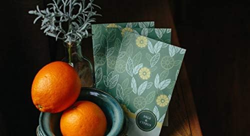 Sage and Citrus Scented Sachets Pack of 3, Everyday - Image 5