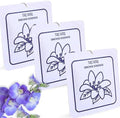 Orchid Essence - Scented Sachets by TRUMIRI