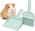 Cage Cleaner for Guinea Pigs Mint Green Mini Dustpan and Brush Set for by Unknown