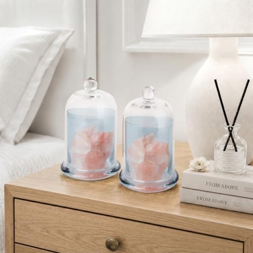 rejomiik Qtip Holder Glass Apothecary Jars - Image 6