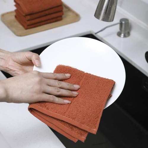 Glynniss Kitchen Dish Cloths for Washing Dishes, Rust Terry Dish Rags - Image 4