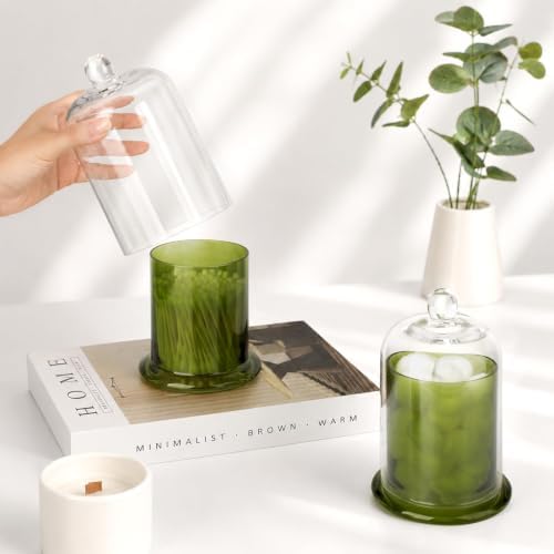 rejomiik Qtip Holder Glass Apothecary Jars - Image 5