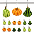 Pumpkin Shower Curtain Hooks Set of 12, Resin Fall Halloween Decor by Unknown