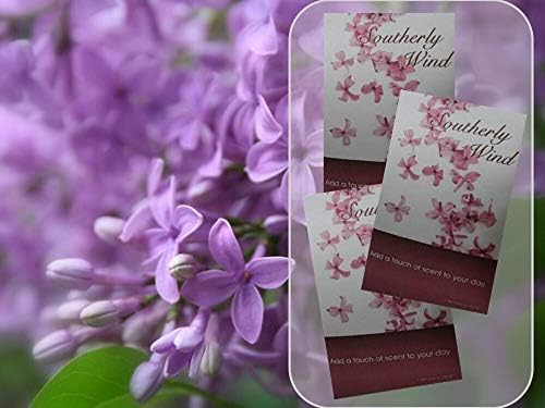 Southerly Wind Scented Sachets Pack of 3, Everyday - Image 4