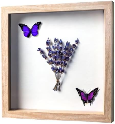FrameWorks 11” x 11” Natural Oak Wooden Shadow Box Frame – Display Case with Soft Felt Back, Memory Box with Tempered Glass, Display Box with Elegant White Ball Push Pins, Wooden Flower Box