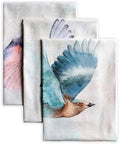 Maison d' Hermine Kitchen Towels Set of 3 Reusable 100% Cotton 27.50" x 20" by MaisondHermine