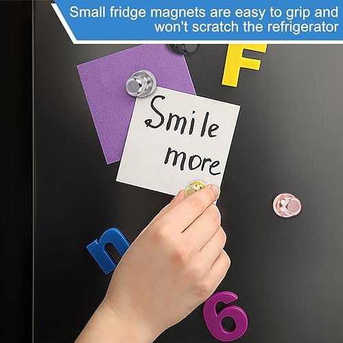 LOVIMAG Fridge Magnets 16Pcs for Refrigerator Whiteboard - Image 4