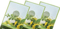 Honeysuckle Scented Sachets Pack of 3, Spring and Summer by FloralSimplicity