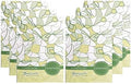 Kindness Scented Sachets Pack of 6, Everyday by FloralSimplicity