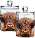2 Pack Apothecary Jars Bathroom Highland Cow Qtip Holder Dispenser Clear by Unknown