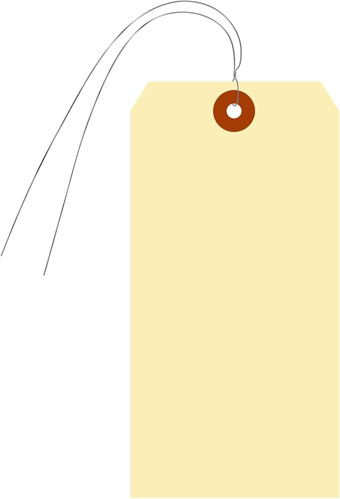 SmartSign Blank Manila Shipping Labels, Size-8, Pack of 1000, 13pt Thick Cardstock, 6 1/4" x 3 1/8" Paper Hang Tags with Reinforced Fiber Patch