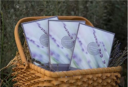 Lavender Scented Sachets Pack of 3, Everyday - Image 5
