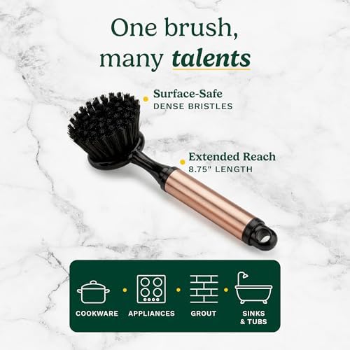 Cuisinart Dish Brush with Handle, 2 Pack, Firm Bristles - Image 5
