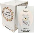 14 Packs Ocean Scented Sachets Bag by LIFFLY