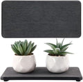 NiuYichee 2Pcs Stone Soap Trays Water Absorbing Diatomite Coaster by NiuYichee