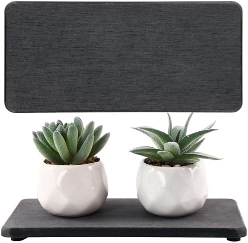 NiuYichee 2Pcs Stone Soap Trays Water Absorbing Diatomite Coaster by NiuYichee