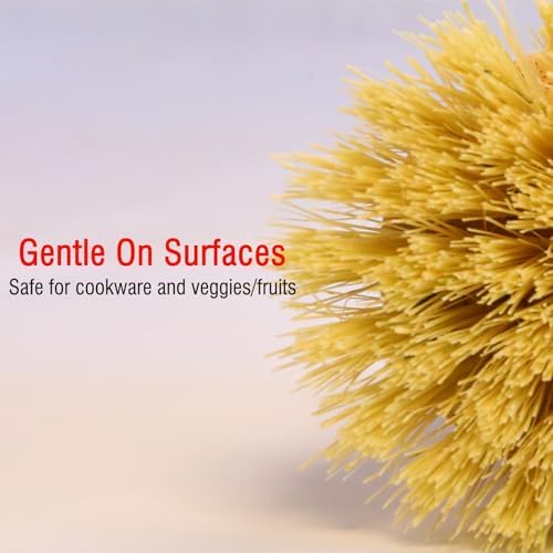 5-Pcs Bamboo Vegetable Brush, Natural Bristle Dish Brush - Image 7
