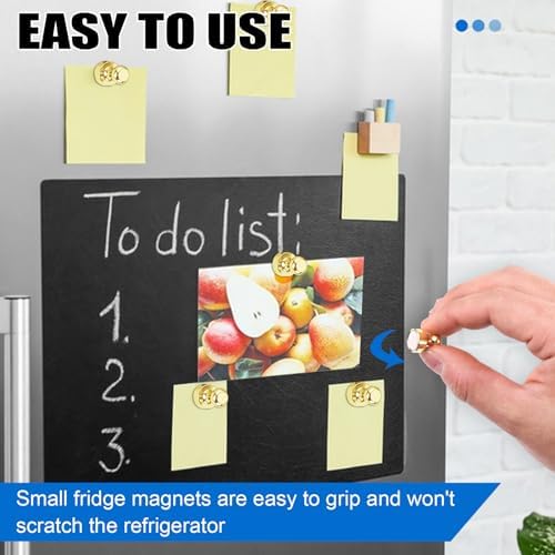 LOVIMAG Fridge Magnets 40Pcs, Magnet - Image 5