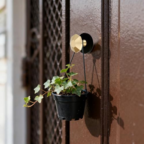 2 Pcs Brass Octagon Magnet Hooks - Image 7