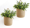 Dahey 2 Pack Woven Hanging Wall Basket 6.5"W×7"H by Dahey