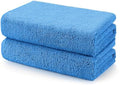 HOMEXCEL Professional Large Microfiber Car Drying Towels 2 Pack by HOMEXCEL
