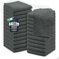 DAN RIVER 24 Pack Cotton Wash Cloths Set by DanRiver