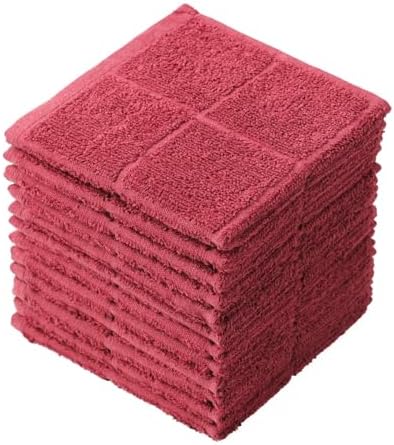 Glynniss Dishcloths Kitchen Highly Absorbent Dish Rags 100% Cotton Dish Cloths by Glynniss