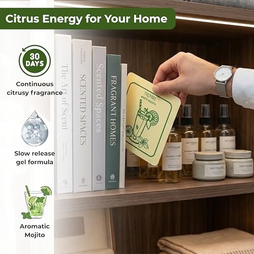 Minty Mojito - Scented Sachets for Drawer and Closet Freshener - Pack of 3 - - Image 6