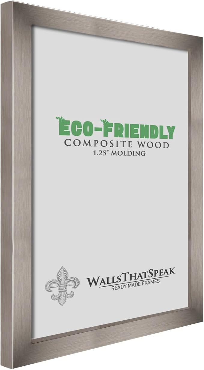 wallsthatspeak 17x21 Stainless Picture Frame for Puzzles Posters Photos or Artwork