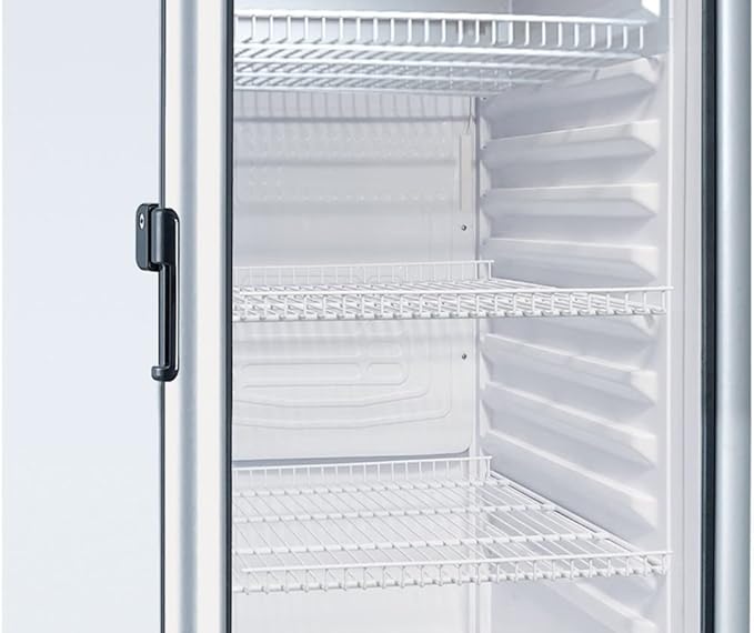 Single Door Beverage Cooler - 6.5 cu ft - Silver by Premium Levella