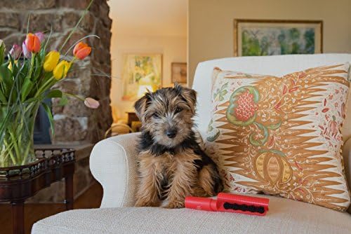 Lilly Brush Forever Furless Mini Pet Hair Remover Brush | Portable Lint Roller - Image 7