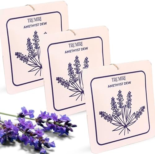 Amethyst Dew - Scented Sachets for Drawer and Closet Freshener - Pack of 3 - by TRUMIRI
