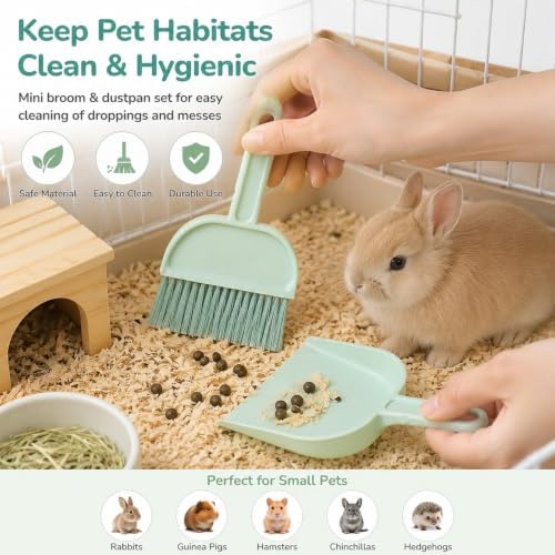 Cage Cleaner for Guinea Pigs Mint Green Mini Dustpan and Brush Set for - Image 4
