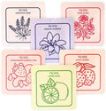 Scented Sachets for Drawer and Closet Freshener by TRUMIRI