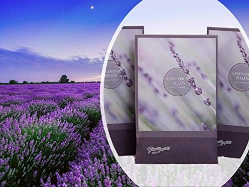 Lavender Scented Sachets Pack of 3, Everyday - Image 4