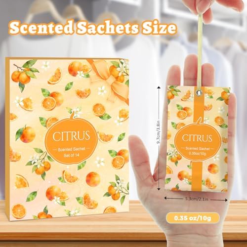 STRN Scented Sachets for Drawer and Closet, Citrus Scent 14-Pack for Home - Image 3