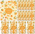 STRN Scented Sachets for Drawer and Closet, Citrus Scent 14-Pack for Home by STRN-Delicate%C2%B7Cozy%C2%B7Stylish