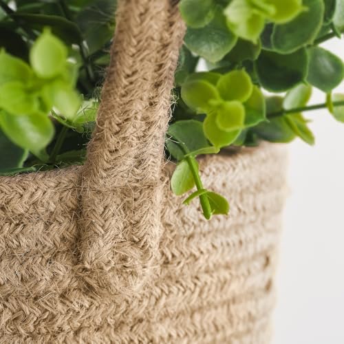 Dahey 2 Pack Woven Hanging Wall Basket 6.5"W×7"H - Image 4