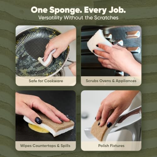 Plant-Based Kitchen Sponges | USDA Biobased Certified | FSC & PETA Approved | - Image 4