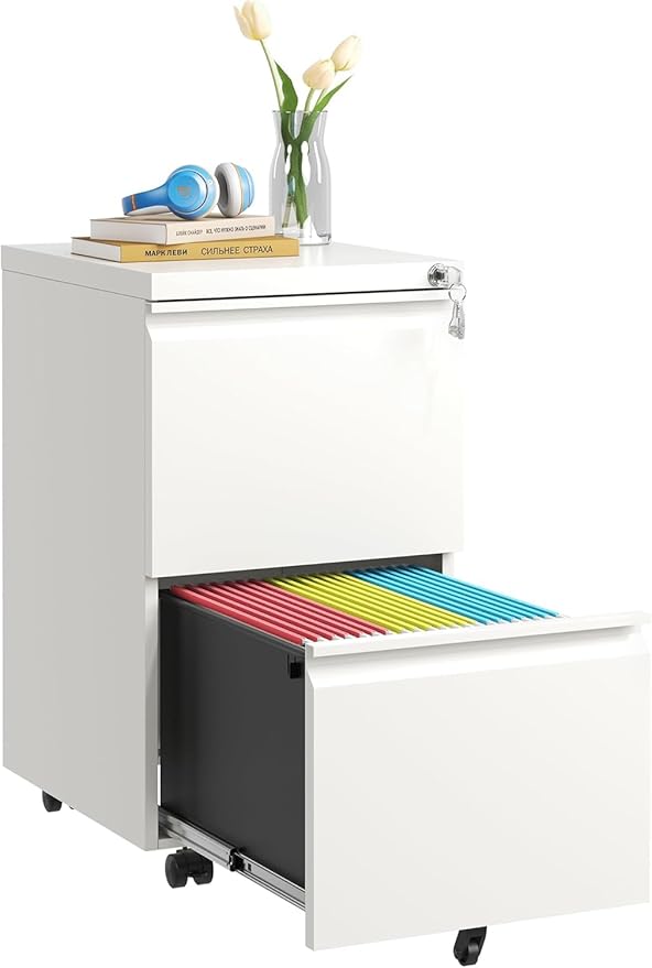Fully Assembled 2 Drawer File Cabinet, Locking Full Steel Filing Cabinet, Quiet Slides, Anti-Tipping Wheels, Fits A4/Letter/Legal, for Home & Small Office, Matte White