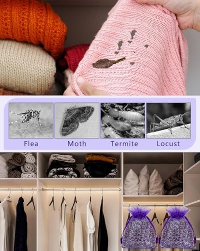 20 Pack Lavender Sachet Bags, 100% Natural French Dried Lavender Sachets - Image 2