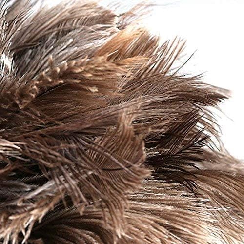 DDZMZ Ostrich Feather Duster for Cleaning - Image 7