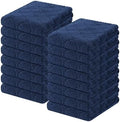 Homaxy Super Soft 16 Pack Coral Velvet Dish Cloths by Homaxy