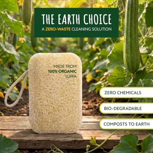 Natural Loofah Dish Sponge 6-Pack Biodegradable Sponges - Image 2
