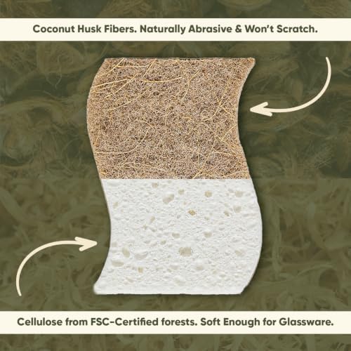 Plant-Based Kitchen Sponges | USDA Biobased Certified | FSC & PETA Approved | - Image 3